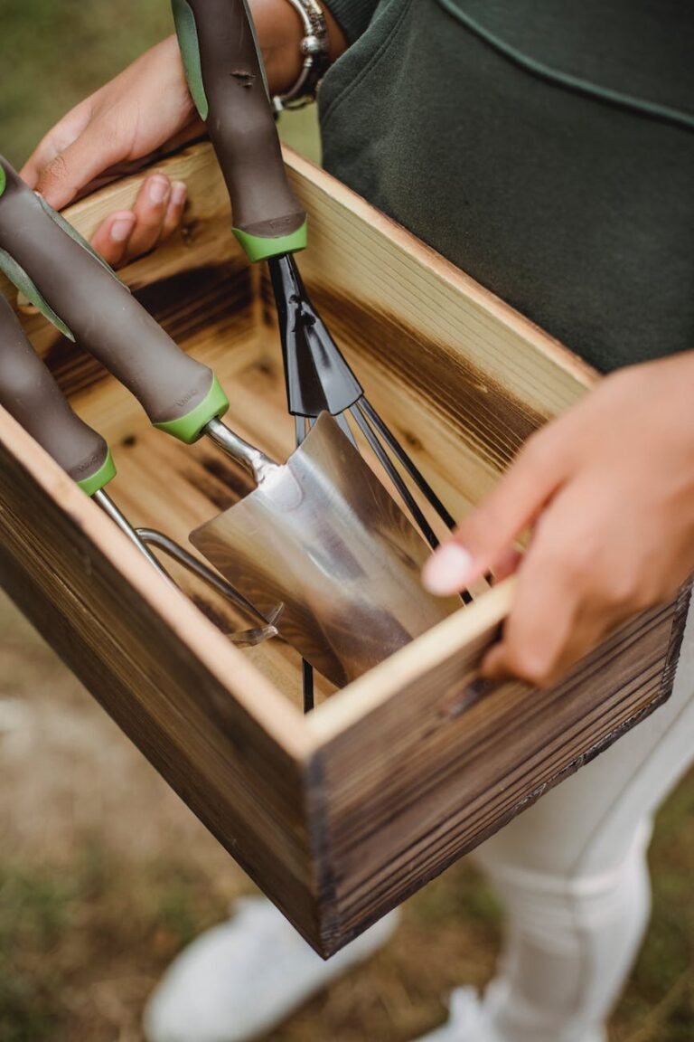 crop farmer with gardening tools in wooden container