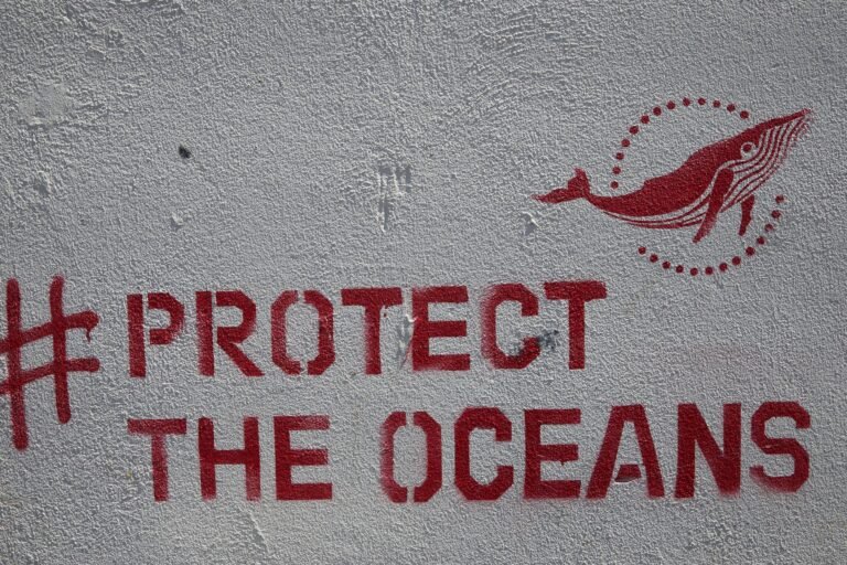 graffiti with inscription protect the oceans placed on concrete wall