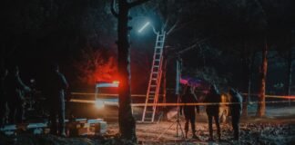 group of colleagues from police working at crime scene