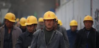 group of persons wearing yellow safety helmet during daytime