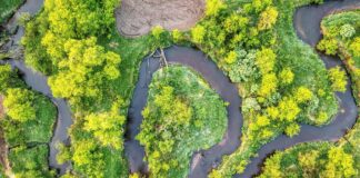 top view of a curvy river and trees