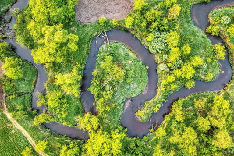 top view of a curvy river and trees