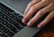 crop office worker typing on laptop at table
