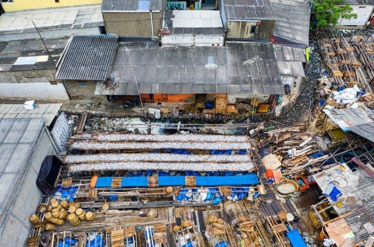 different litter diving on dump in slump