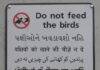 Multilingual 'Do not feed the birds' sign on canal bridge