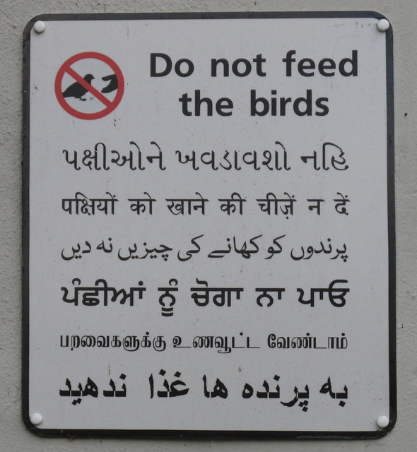 Top 25 Best Hindi Safety Slogan In 2024