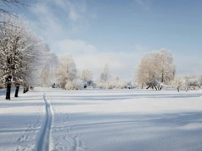 ski tracks on snow on sunny winter day